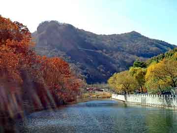 澳门二四六天天彩图库，七彩山鸡苗价格